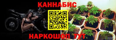шишки Северобайкальск