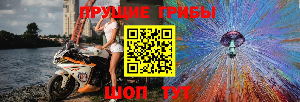 Галлюциногенные грибы Cubensis Нефтекумск
