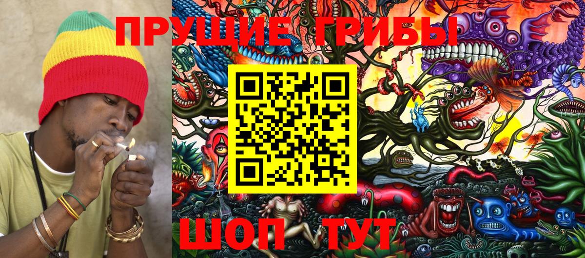 Псилоцибиновые грибы мухоморы  Вход с VPN  Нефтекумск 